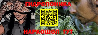 каннабис Новозыбков
