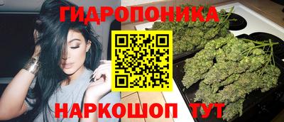 каннабис Новозыбков