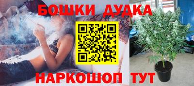 каннабис Новозыбков