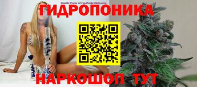каннабис Новозыбков