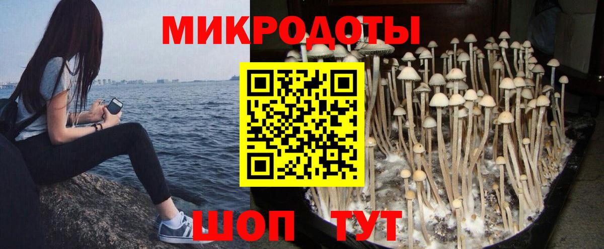 где продают наркотики  Псилоцибиновые грибы ЛСД  Галлюциногенные грибы Psilocybine cubensis  Вход с VPN  Усть-Джегута 
