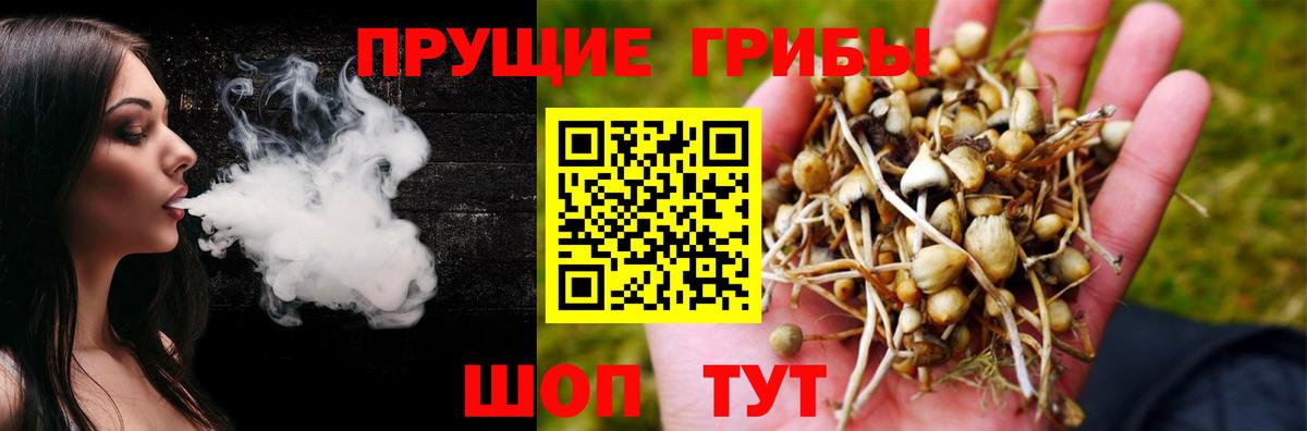 Псилоцибиновые грибы мухоморы Усть-Джегута